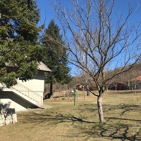 Apartman “Reka Gradac” Valjevo Exterior foto